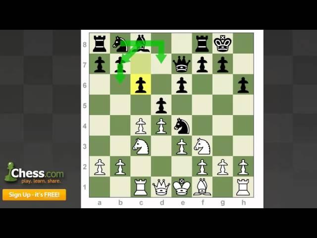 Chess Openings: The Queen's Gambit Declined