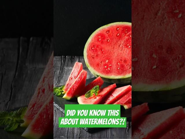 Watermelons: The Confusing Fruit That’s Actually a Veggie