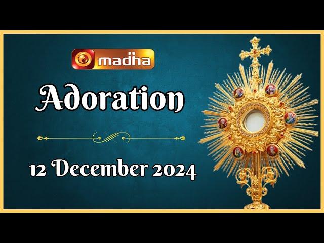  LIVE 12 December 2024 | Adoration 11:00 AM | Madha TV