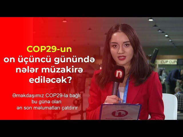 COP29-un on üçüncü günündə nələr müzakirə ediləcək?