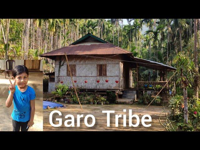 Life & food of garo tribe in meghalaya | Living with garos | Garo tribe in meghalaya | garo hills