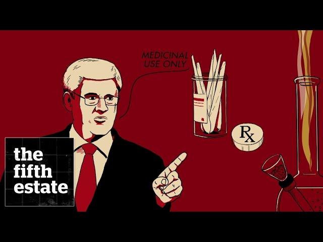 How to buy marijuana legally in Canada - the fifth estate