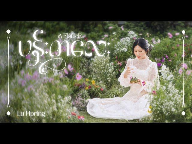 A Flower  (ပန်းကလေး )-Lu Hpring ( Official Music Video )