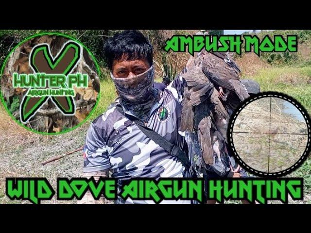 AMBUSH AIRGUN HUNTING SA INUMAN.             PEST CONTROL