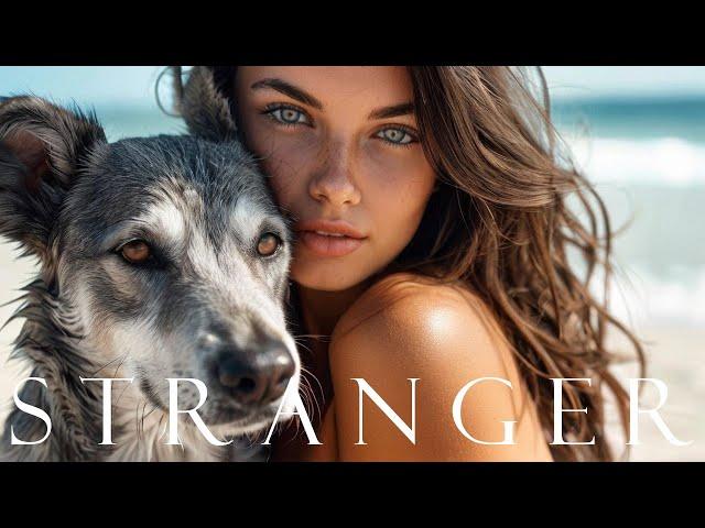 Saffron Beats Lab - Stranger 