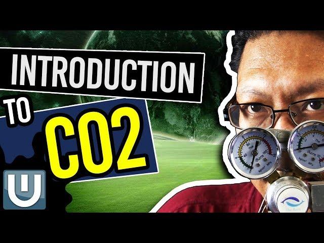 Introduction To Co2 - The Ultimate Aquarium Co2 Guide - Part 1