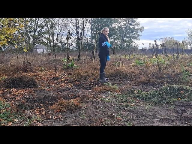 Приїхали в СЕЛО прибирати ОГОРОД. Душа потребує експериментів. Не можу наважитись на це..