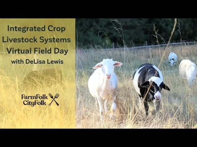 Integrated Crop Livestock Systems Virtual Field Day