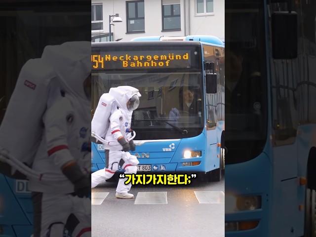 네놈은 취업할 생각이 없구나