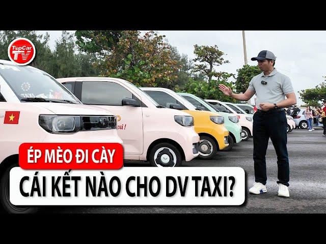 Ép Wuling Mini EV làm taxi & cái kết khó tưởng tượng của ngành dịch vụ vận tải | TIPCAR TV