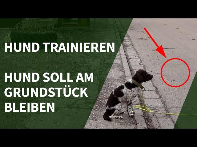 Hund trainieren ► Hund soll am Grundstück bleiben - ohne Zaun