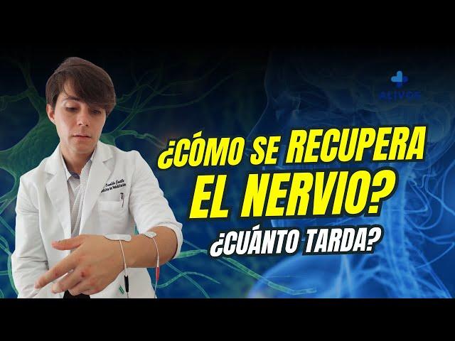 ¿Qué pasa si se lesiona un nervio? ¿Cuánto tarda en sanar?