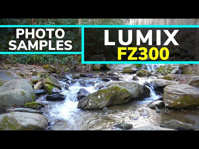 FZ300 Image Quality: Is the Panasonic Lumix FZ300 Worth it in 2019?