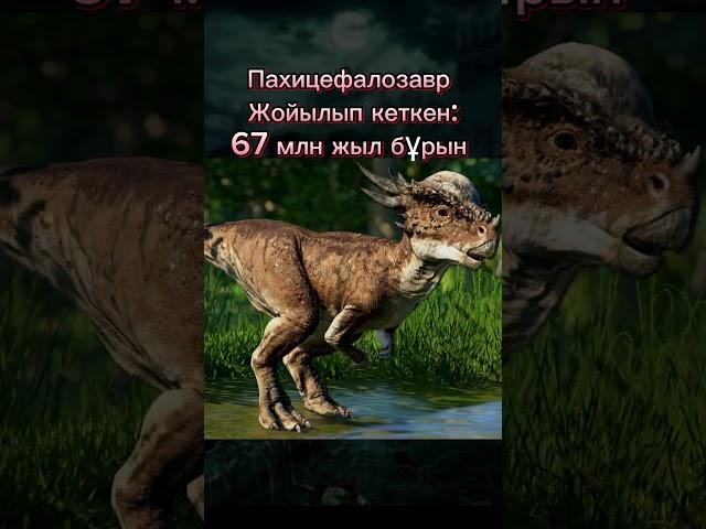 Жойылып кеткен жануарлар даусы 9-бөлім #animals #wow #dinosaur