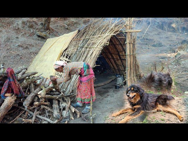 Nomadic shepherd life of himalayan nepal || himalayan shepherds life - ep. 01 || TheVillageNepal