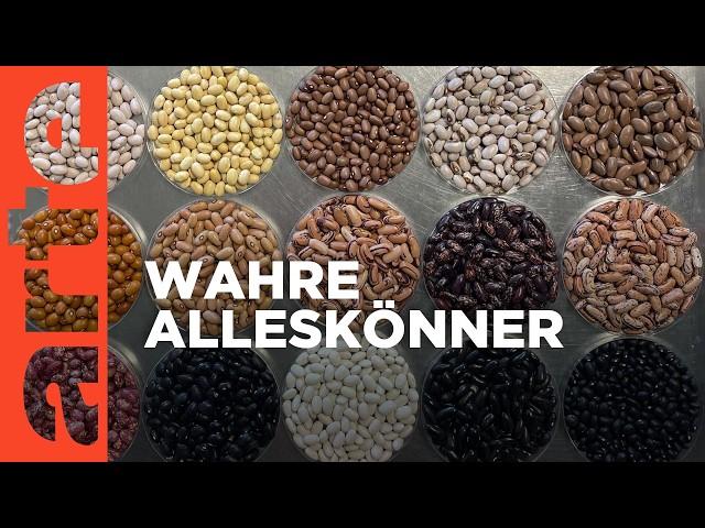 Superfood Bohnen | Doku HD | ARTE