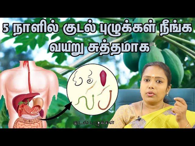 5 நாளில் குடல் புழுக்கள் நீங்க  வயறு சுத்தமாக |Dr.Rajalakshmi | வீட்டு வைத்தியம் |ASM INFO