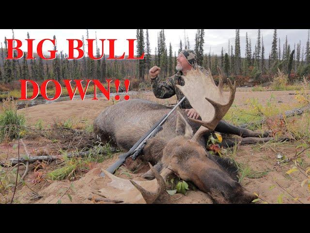 Alaska Moose Hunting Season