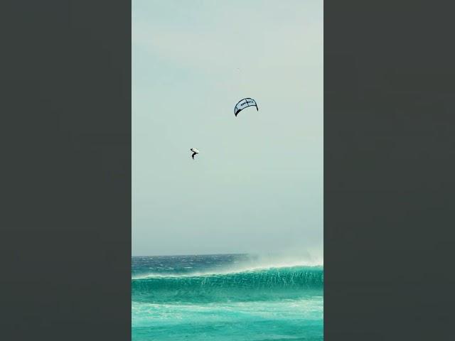Unstoppable Rides: Shahar Tsabary Conquers Every Ramp with PACE!  | Tarifa, Spain Adventure