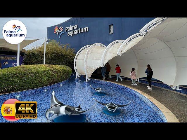 Palma aquarium Mallorca  Spain 4K April 2022