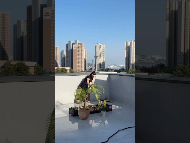 슬기로운 옥상생활 #주택인테리어 #옥상텃밭 #홈캠핑 #텃밭가꾸기 #옥상꾸미기
