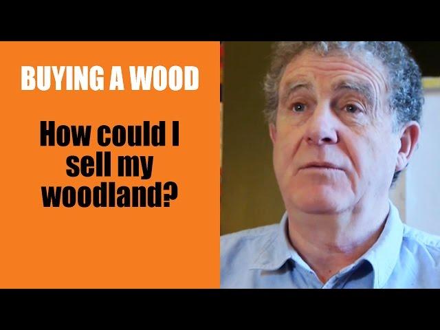 Buying a Wood: How could I sell my woodland?