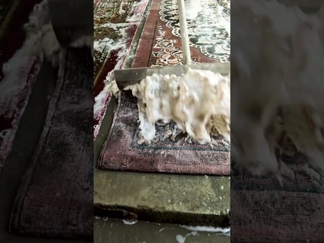 asmr scraping  #satisfying  #asmr #carpetcleganin