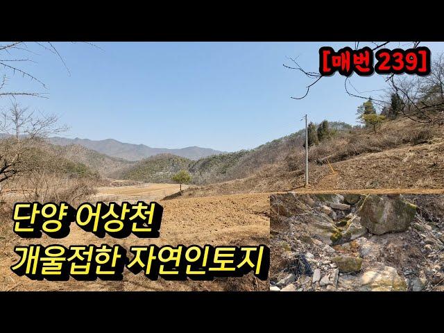 [매번 239] 단양땅 단양자연인땅 단양개울접한땅 어상천개울접한땅