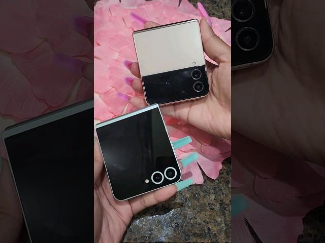 Samsung Galaxy Z Flip 6 vs Z Flip 4
