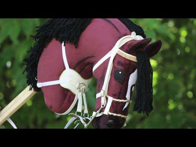 SEMINA'S NEW HOBBYHORSE // Jumping training VOICEOVER