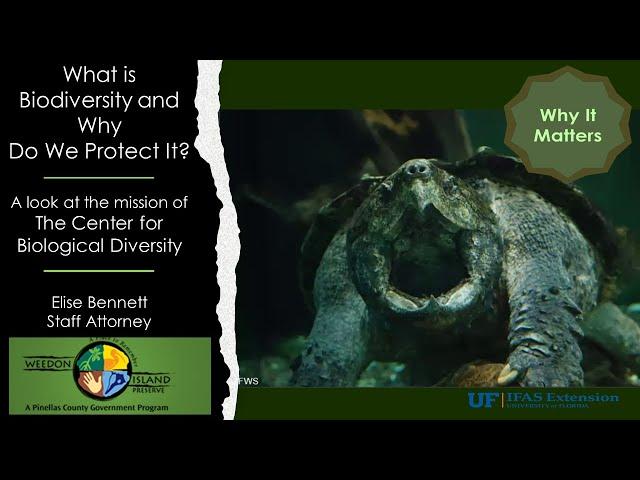 The Center for Biological Diversity's Mission