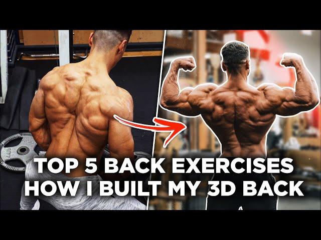 HOW I BUILT MY 3D BACK! - 5 Best Back Exercises!