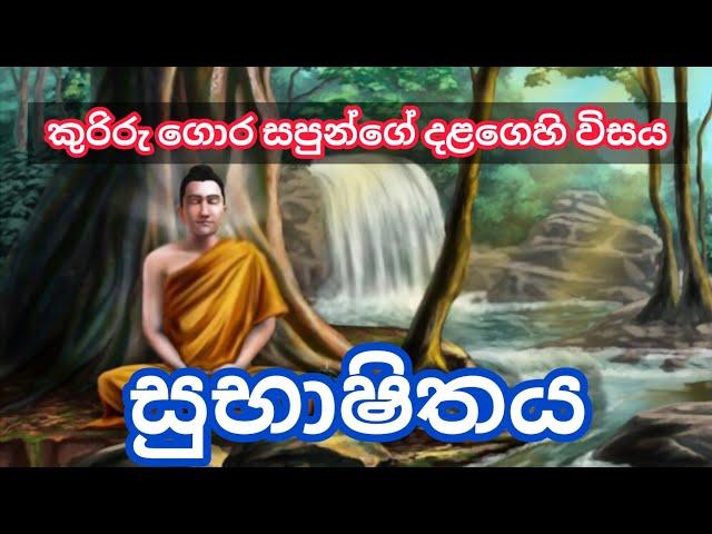 සුභාෂිතය | කුරිරු ගොර සපුන්ගේ දළගෙහි විසය | කවි තේරුම