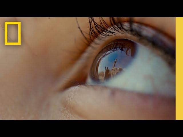 Inner Portrait with Refik Anadol: An Immersive Art Experience | National Geographic