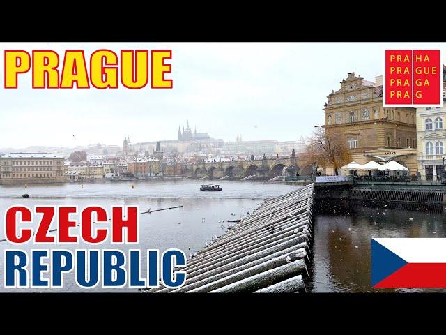 Here’s what DRIVING in Prague is like | An American Perspective