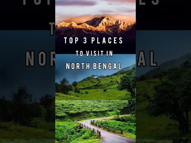 Offbeat places in North Bengal #travel #ytshorts  #viralshorts #travelvlog #darjeeling #kurseong