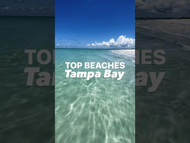 Beach Paradise: Tampa Bay ️