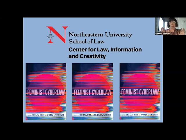 Feminist Cyberlaw