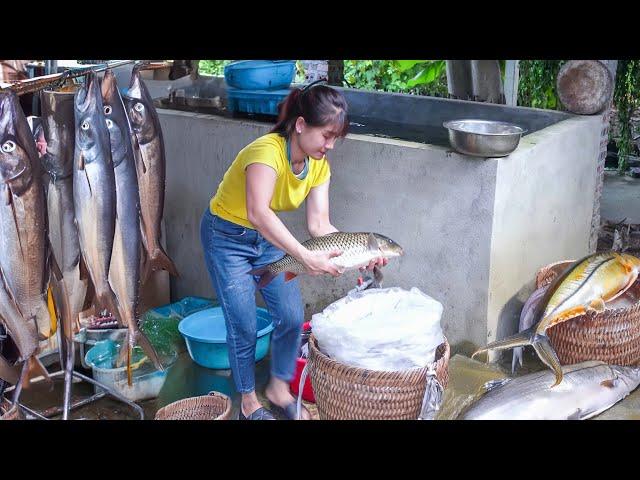 A Bumper Fish Harvest - Catch Many Fish At Fish Pond Goes To Market Sell