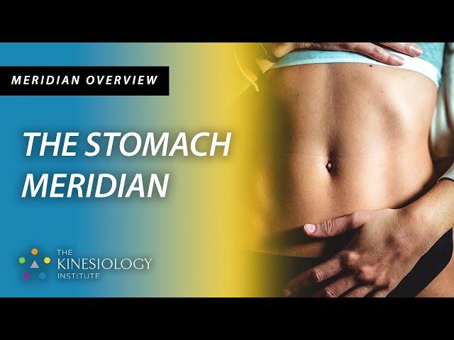 The Stomach Meridian | Meridian Overviews