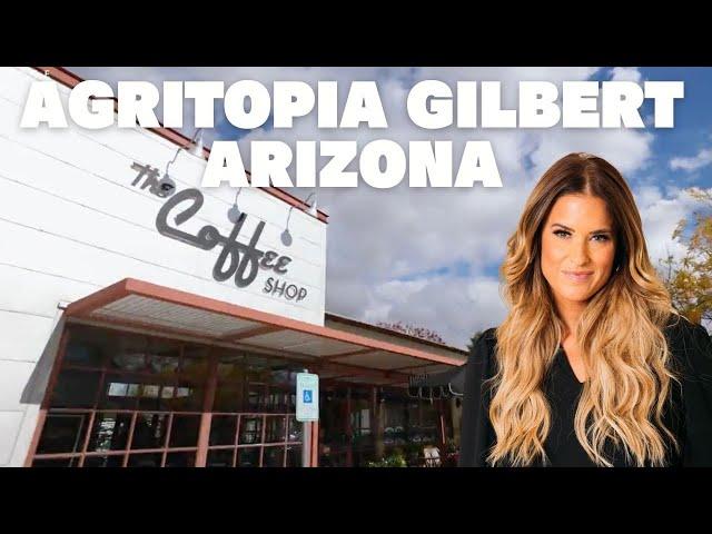 Under 500K in Agritopia Gilbert, Arizona