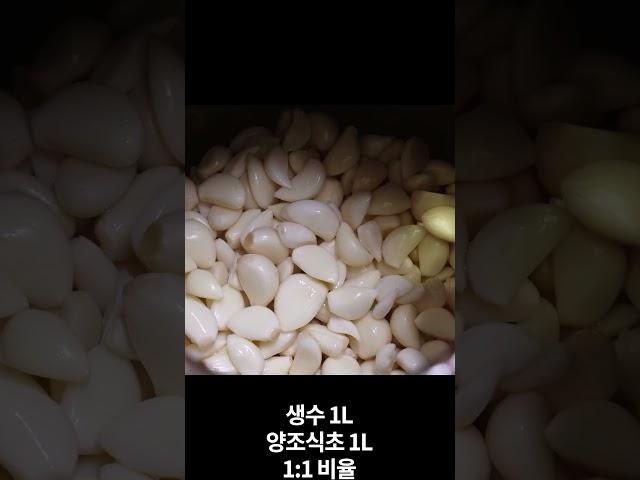 깐마늘장아찌는 '이렇게' 담그세요! 1년 내내 맛있게 먹습니다
