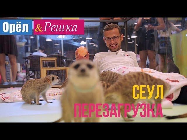 Орел и решка. Перезагрузка - Сеул | Южная Корея (1080p HD)