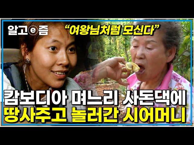 "사실 이 과수원도 어머니돈 이예요" 버스도 못타게 하던 어머니의 특급 반전 며느리의 가족은 두발 벗고 시어머니를 맞이한다│다문화 고부 열전│알고e즘