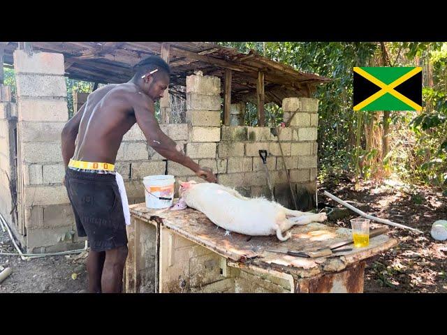 ️WILD JAMAICAN OUTDOOR BUSH COOKING || goat head || jerk pork|| breadfruit​⁠ @Thehappyjamaican