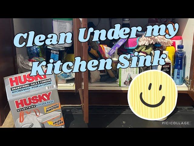 CLEAN & ORGANIZE UNDER MY KITCHEN SINK