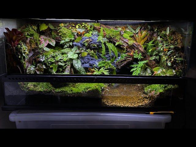 PALUDARIUM TUTORIAL | Step by step