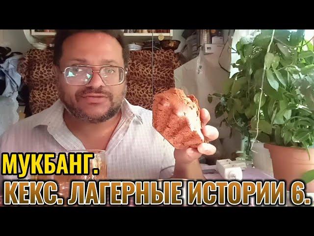 #Мукбанг  Кекс. Лагерные истории 6.