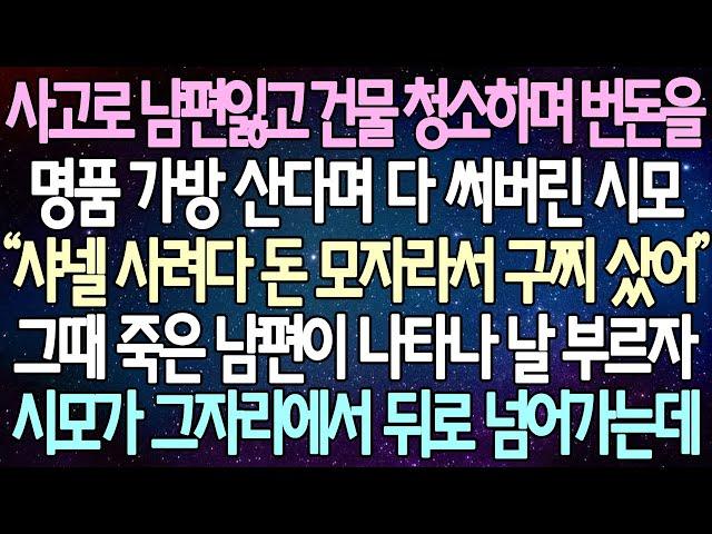 (반전 사연) 사고로 남편잃고 건물 청소하며 번돈을 명품 가방 산다며 다 써버린 시모 그때 죽은 남편이 나타나 날 부르자 시모가 그자리에서 뒤로 넘어가는데 /사이다사연/라디오드라마