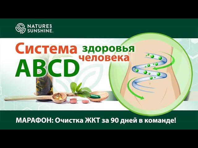 Система Здоровья человека АВСD - Александр Хилько